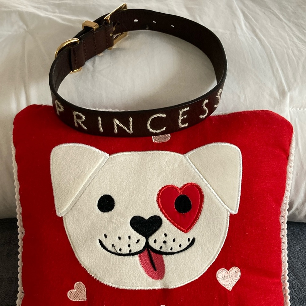 Princess Embroidered Brown Leather Dog Collar